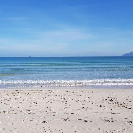 Ideal Property Mallorca - Playasol Port de Alcudia  Exterior foto