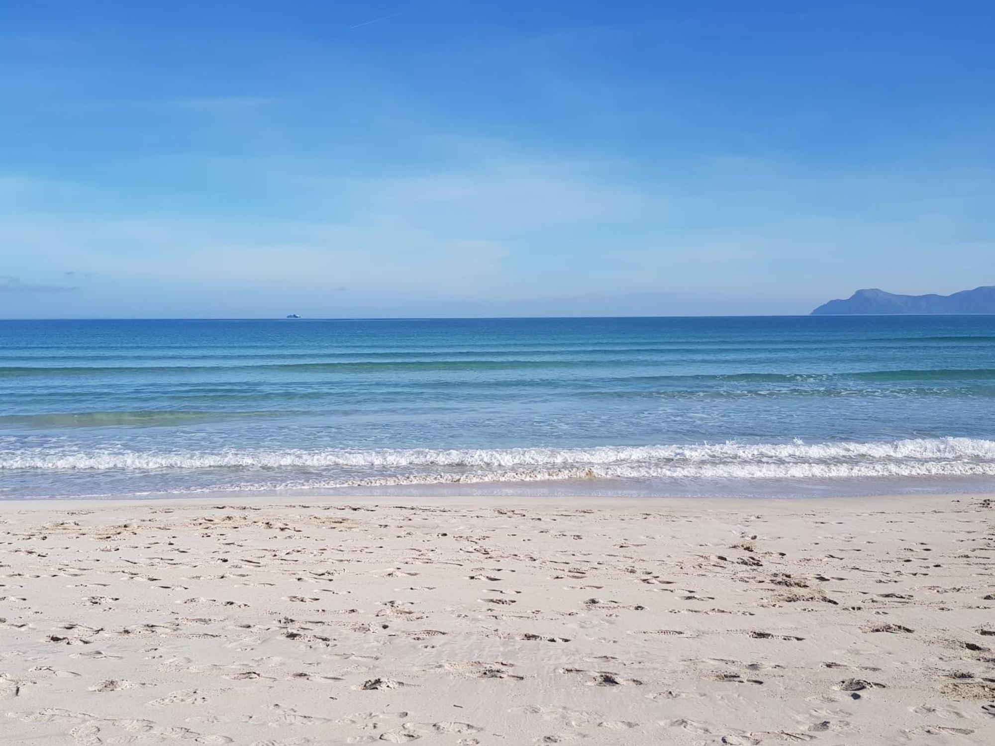 Ideal Property Mallorca - Playasol Port de Alcudia  Exterior foto
